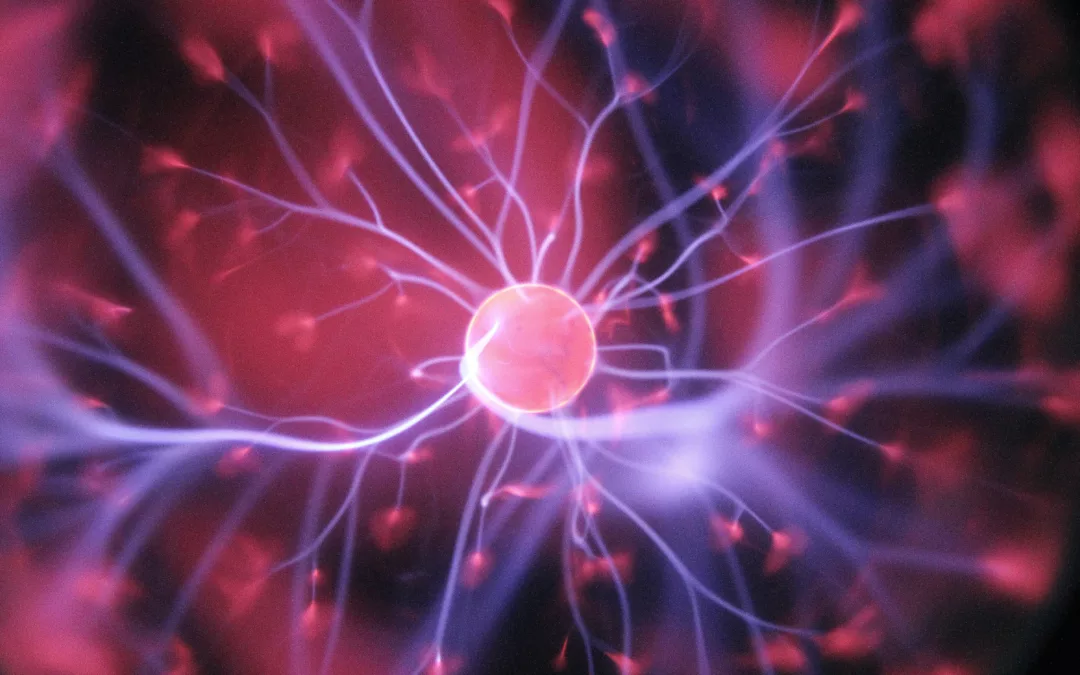 Emotional Resonance: Leadership Development